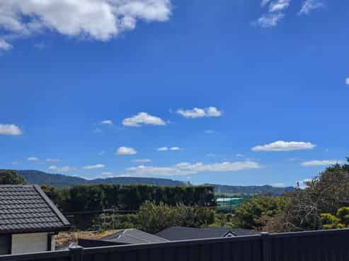 77 Tynan Street, Te Puke