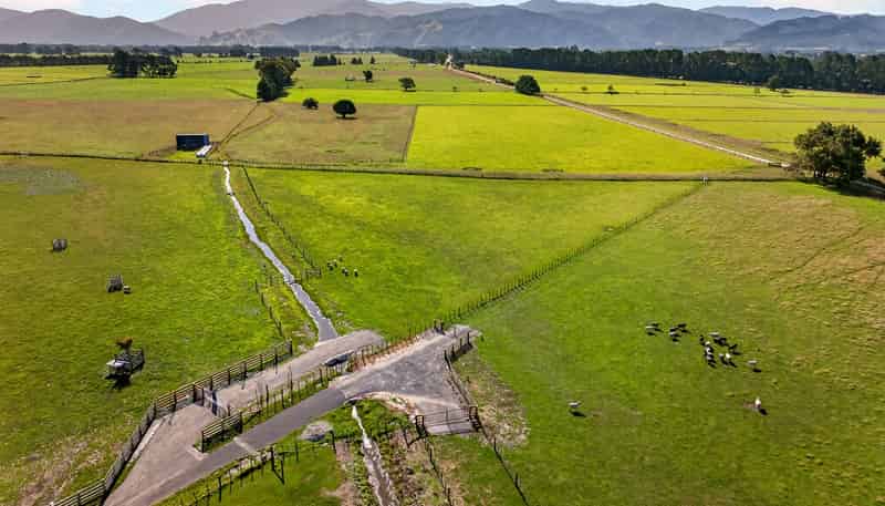 Lot 2, 36A Spencer Lane, Greytown