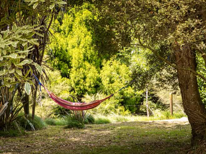 49 Mangotahi Road, THAMES