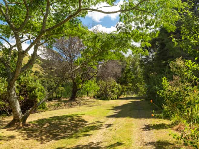 49 Mangotahi Road, THAMES