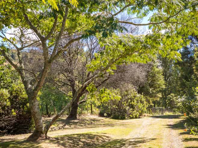 49 Mangotahi Road, THAMES