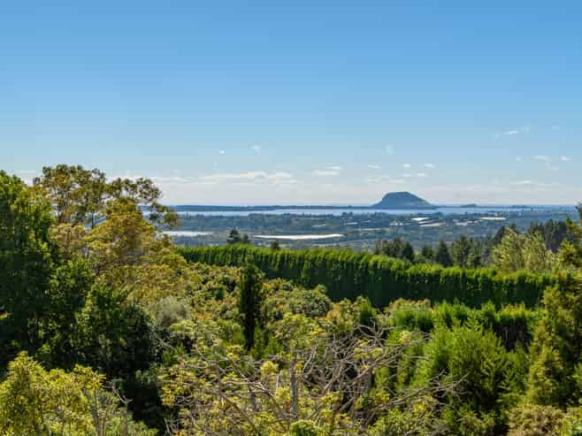 257D Whakamarama Road, Whakamarama