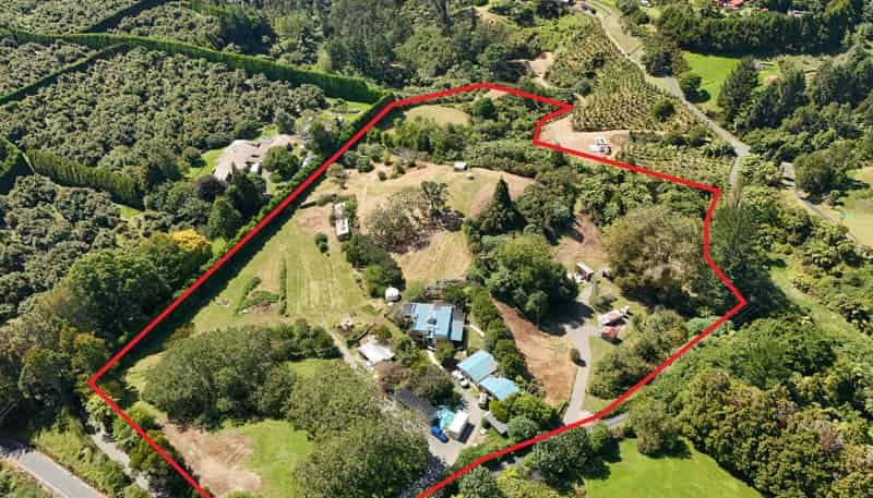 257D Whakamarama Road, Whakamarama