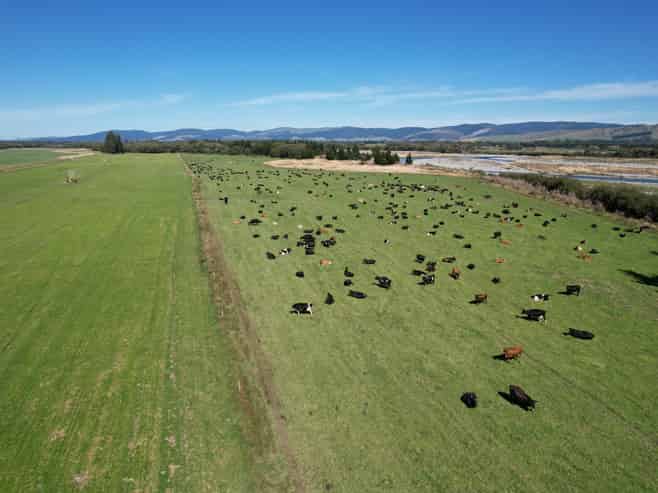 1147 Lumsden Dipton Highway, Dipton