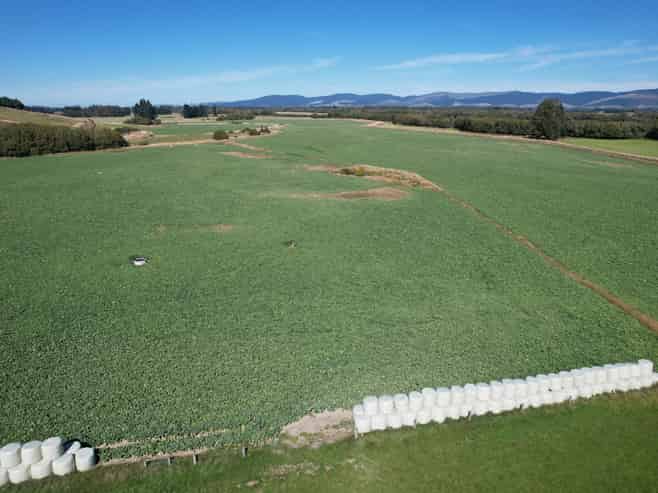 1147 Lumsden Dipton Highway, Dipton