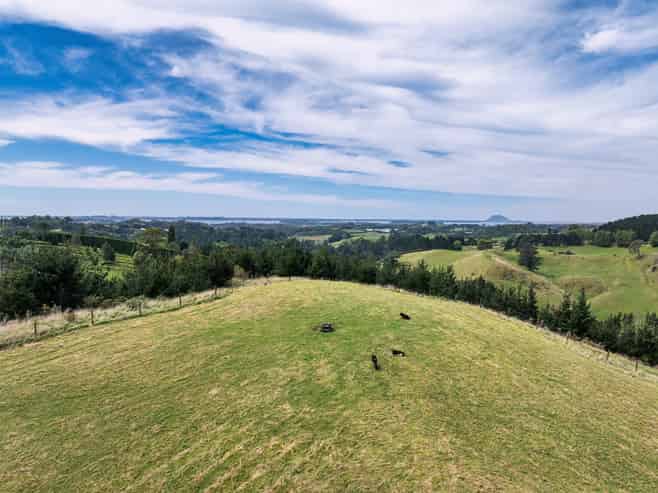 371 Esdaile Road, Whakamarama