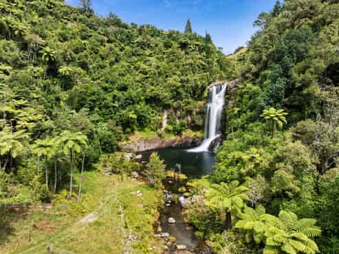 371 Esdaile Road, Whakamarama