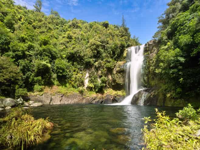 371 Esdaile Road, Whakamarama