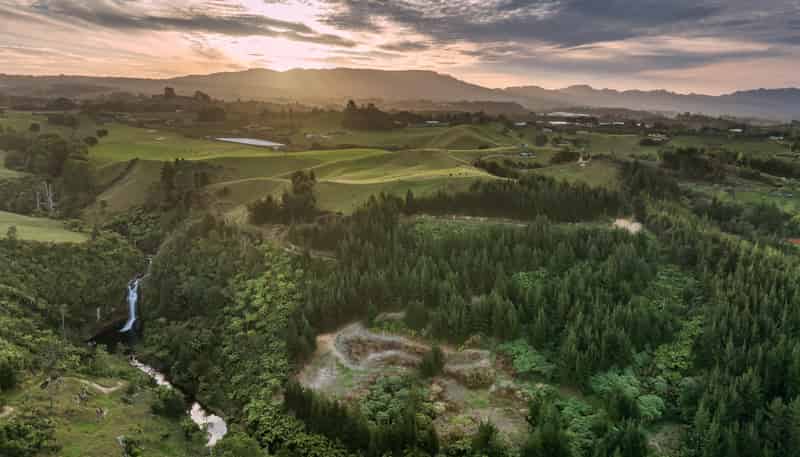 371 Esdaile Road, Whakamarama