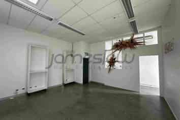 Versatile Office Opportunity in Grey Lynn