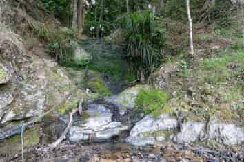 229 Hupara Road, Pakaraka