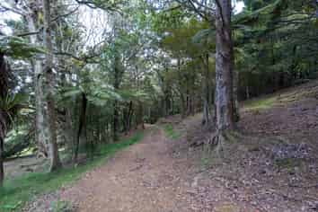 229 Hupara Road, Pakaraka