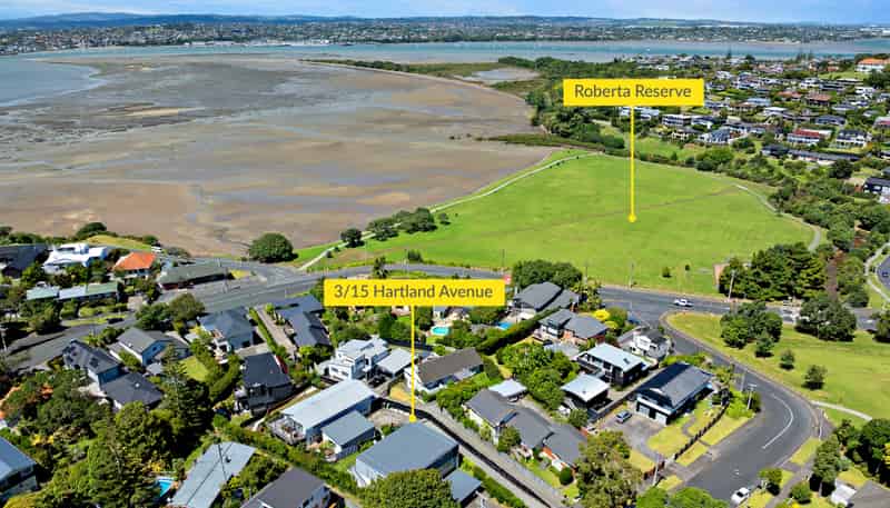 3/15 Hartland Avenue, Glendowie