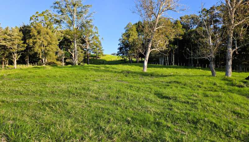 195 Sills Road, Dargaville