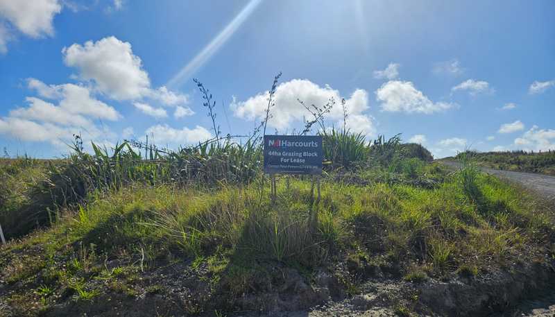 1 Basin Road, Dargaville Surrounds