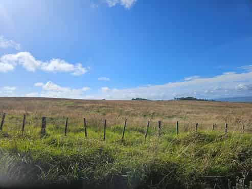 44.5ha Grazing or Lifestyle Block, Near the Coast