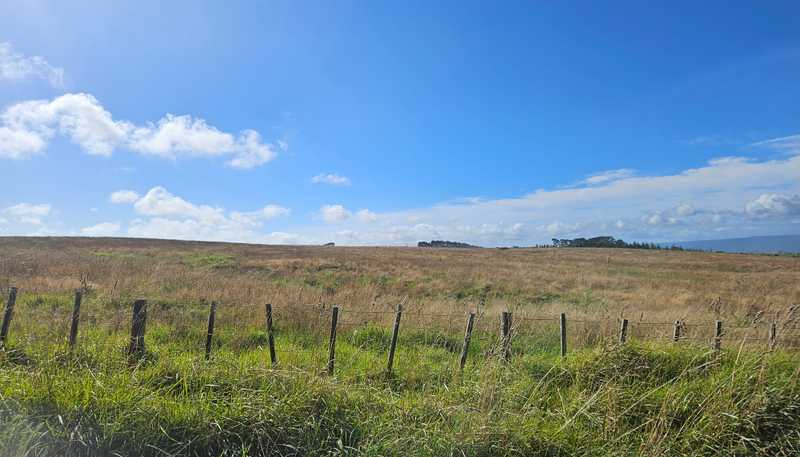 1 Basin Road, Dargaville Surrounds