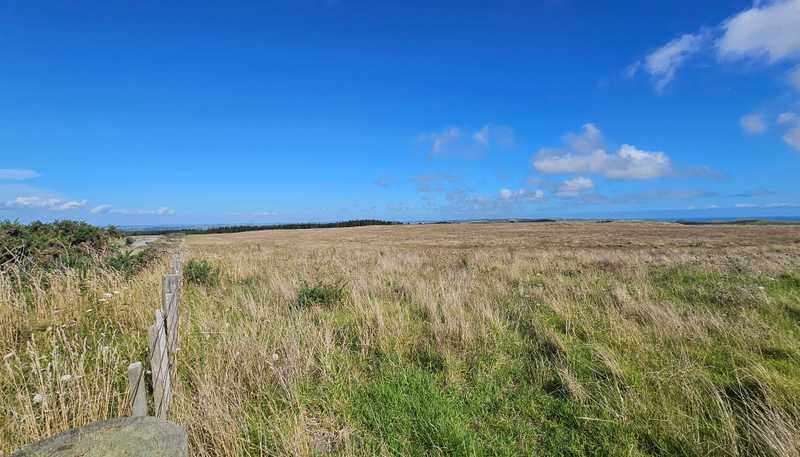 1 Basin Road, Dargaville Surrounds