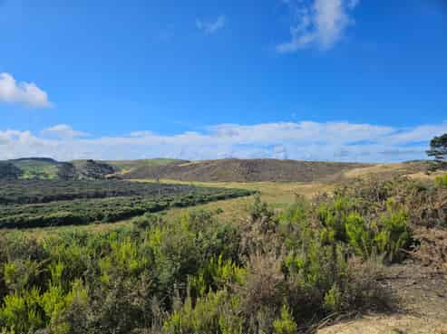 44.5ha Grazing or Lifestyle Block, Near the Coast