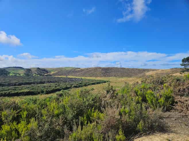 44ha Farm or Investment Property