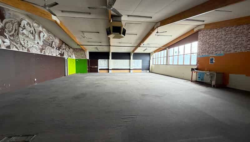 17 Carlyle Street, Napier South