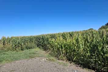  No 1 Road, Springdale