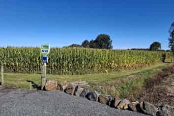  No 1 Road, Springdale