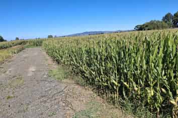  No 1 Road, Springdale