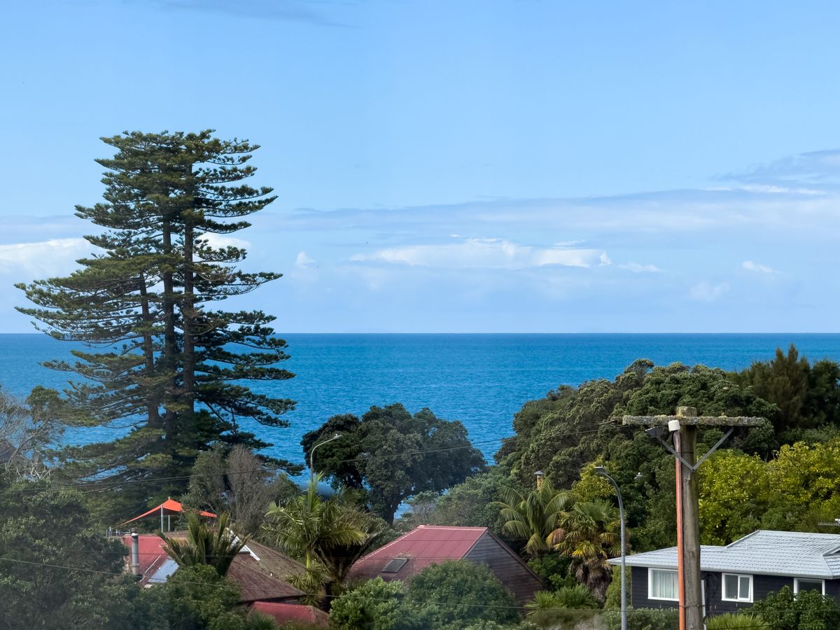 Present Your Offer with Confidence, Campbells Bay