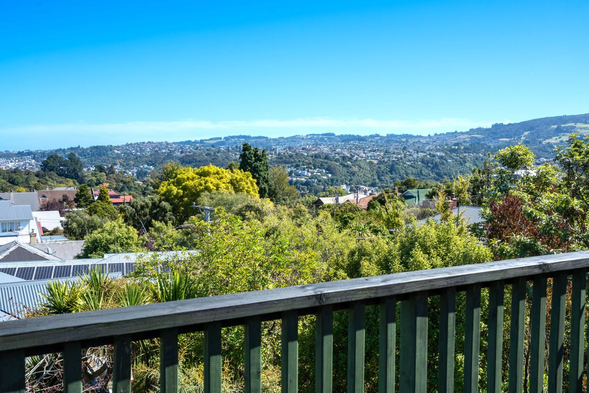 Opoho Opportunity at a Sharp Price! - Ansicht 5