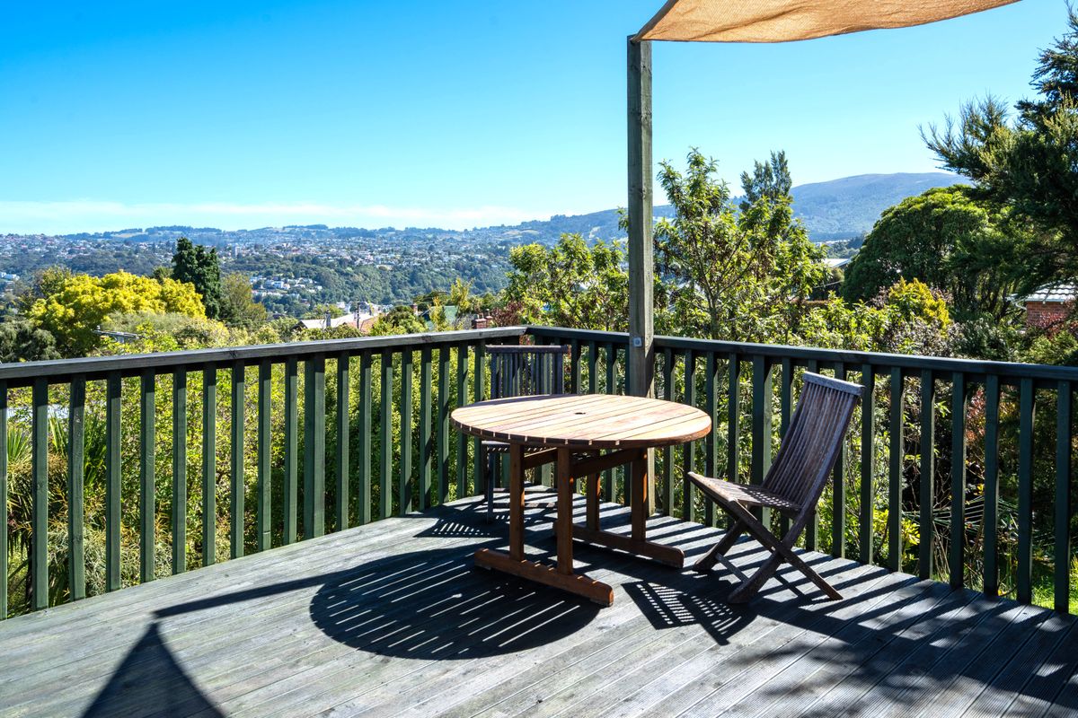 Opoho Opportunity at a Sharp Price! - Ansicht 4