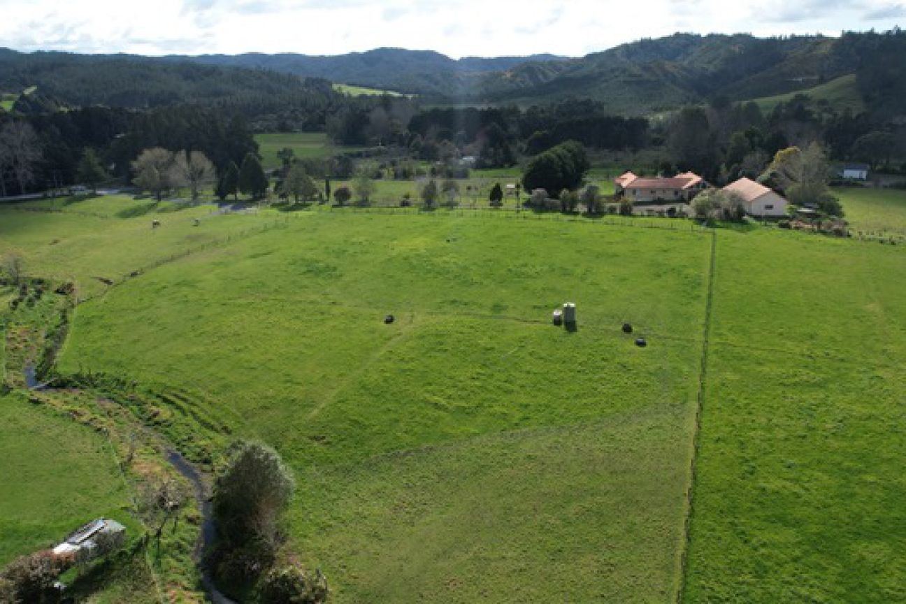 A rare opportunity to own a slice of Whangarei - Mynd 4
