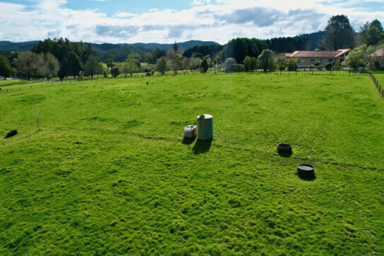 A rare opportunity to own a slice of Whangarei - Meira