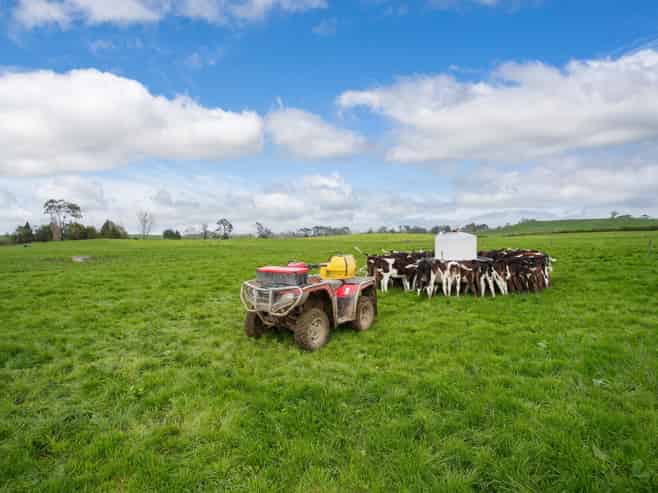 128 Rapurapu Road, Te Poi, Matamata