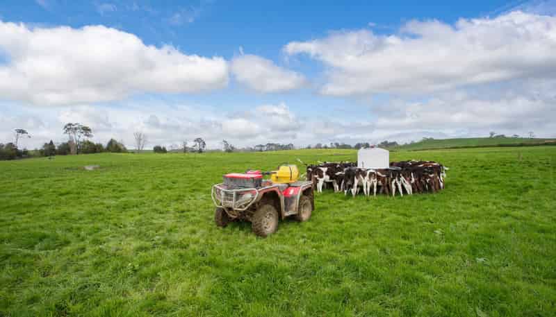 128 Rapurapu Road, Te Poi, Matamata