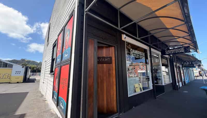 224A Dominion Road, Mount Eden