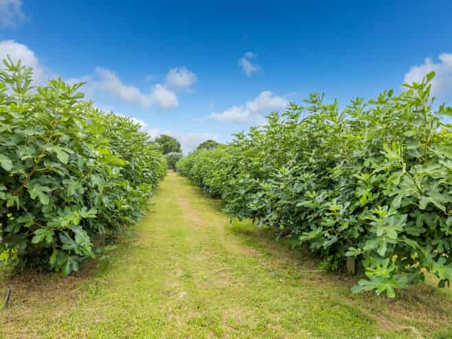 32 Ohinewai Road, Ohinewai