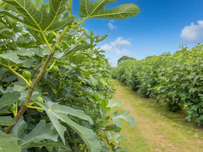 32 Ohinewai Road, Ohinewai