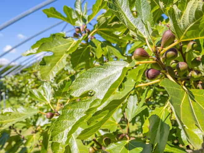 32 Ohinewai Road, Ohinewai