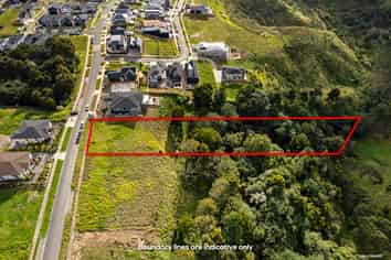 25 Michael Bosher Way, Flat Bush