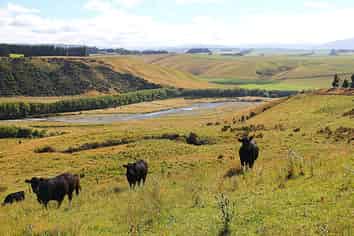 93 Ridgedale Road, Te Anau