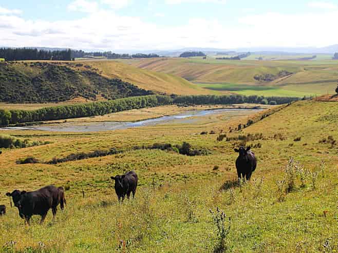 93 Ridgedale Road, Te Anau