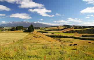 93 Ridgedale Road, Te Anau