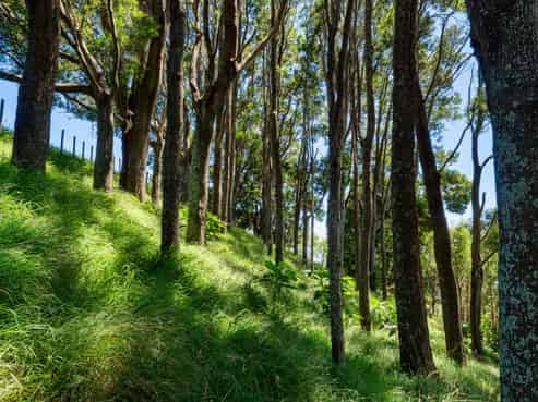 361 Kaitemako Road, Welcome Bay