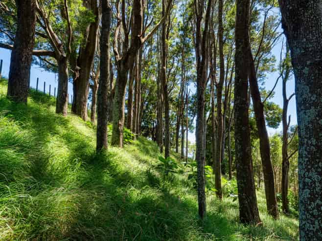 361 Kaitemako Road, Welcome Bay