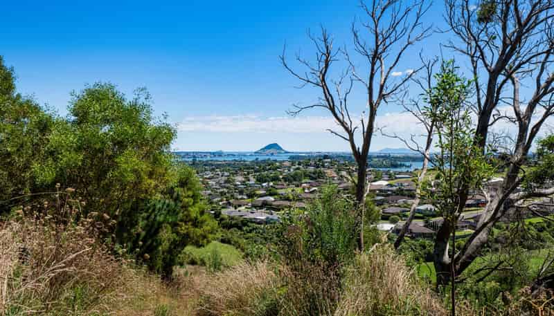 361 Kaitemako Road, Welcome Bay