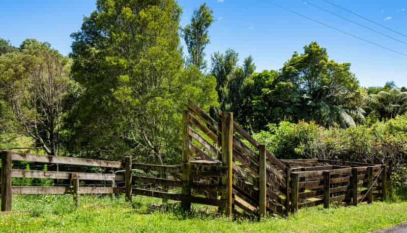 361 Kaitemako Road, Welcome Bay