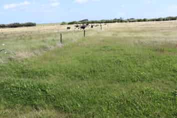 3979 South Road, Opunake