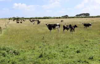 3979 South Road, Opunake