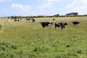 3979 South Road, Opunake